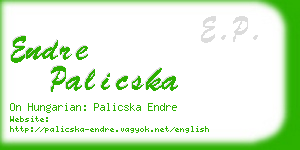 endre palicska business card